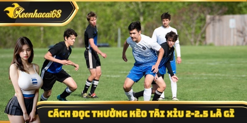 C&aacute;ch đọc thưởng k&egrave;o t&agrave;i xỉu 2-2.5 l&agrave; g&igrave;