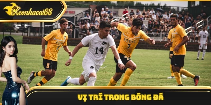 Vị tr&iacute; trong b&oacute;ng đ&aacute;